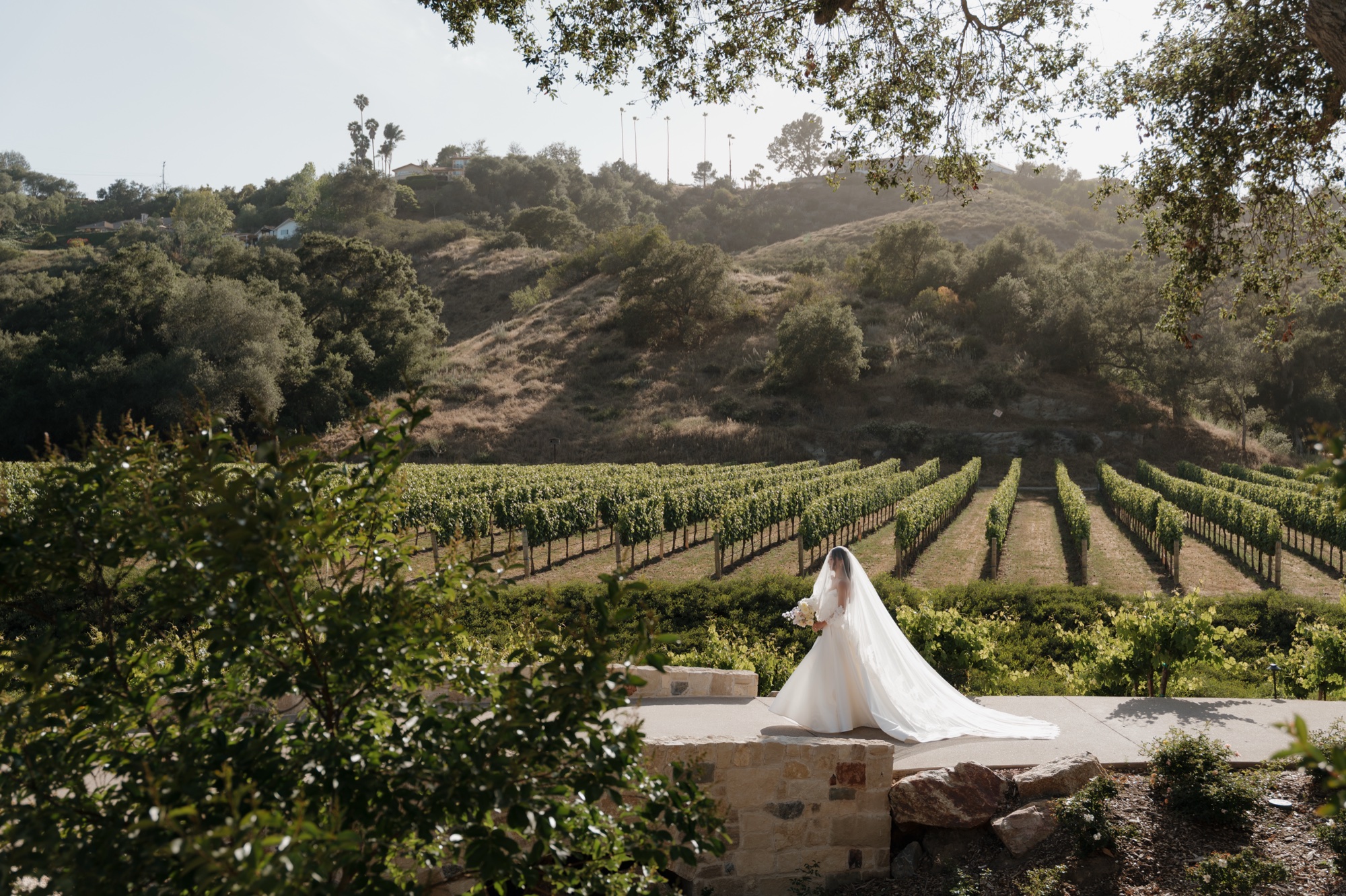 award-winning Southern California vineyard wedding venues